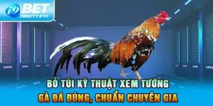 Bỏ Túi Kỹ Thuật Xem Tướng Gà Đá Đúng, Chuẩn Chuyên Gia