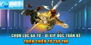 Chọn Lọc Gà Tơ - Bí Kíp Đúc Thần Kê Thiện Chiến Từ Cao Thủ