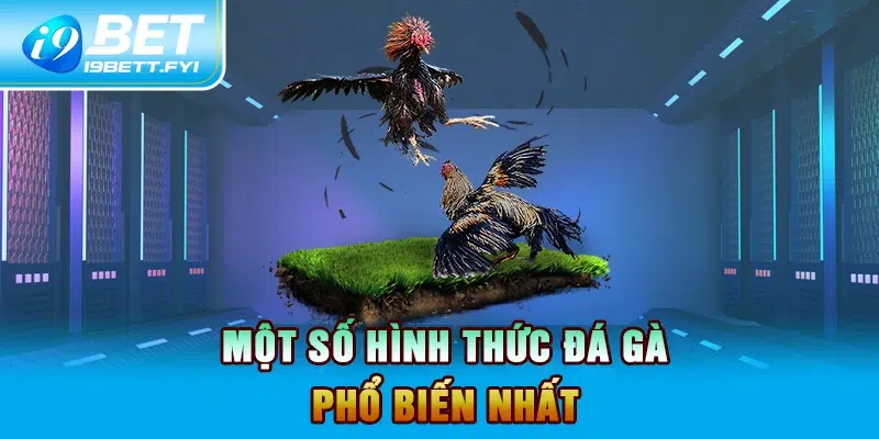 Một số hình thức đá gà phổ biến nhất