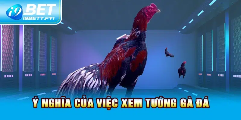 Ý nghĩa của việc xem tướng gà đá